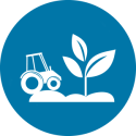 AGRO E JARDIM