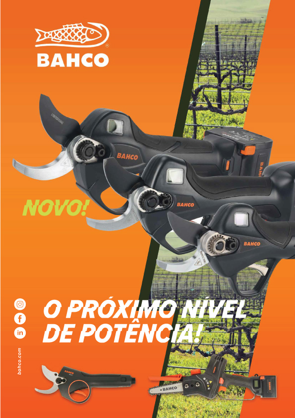 BACO